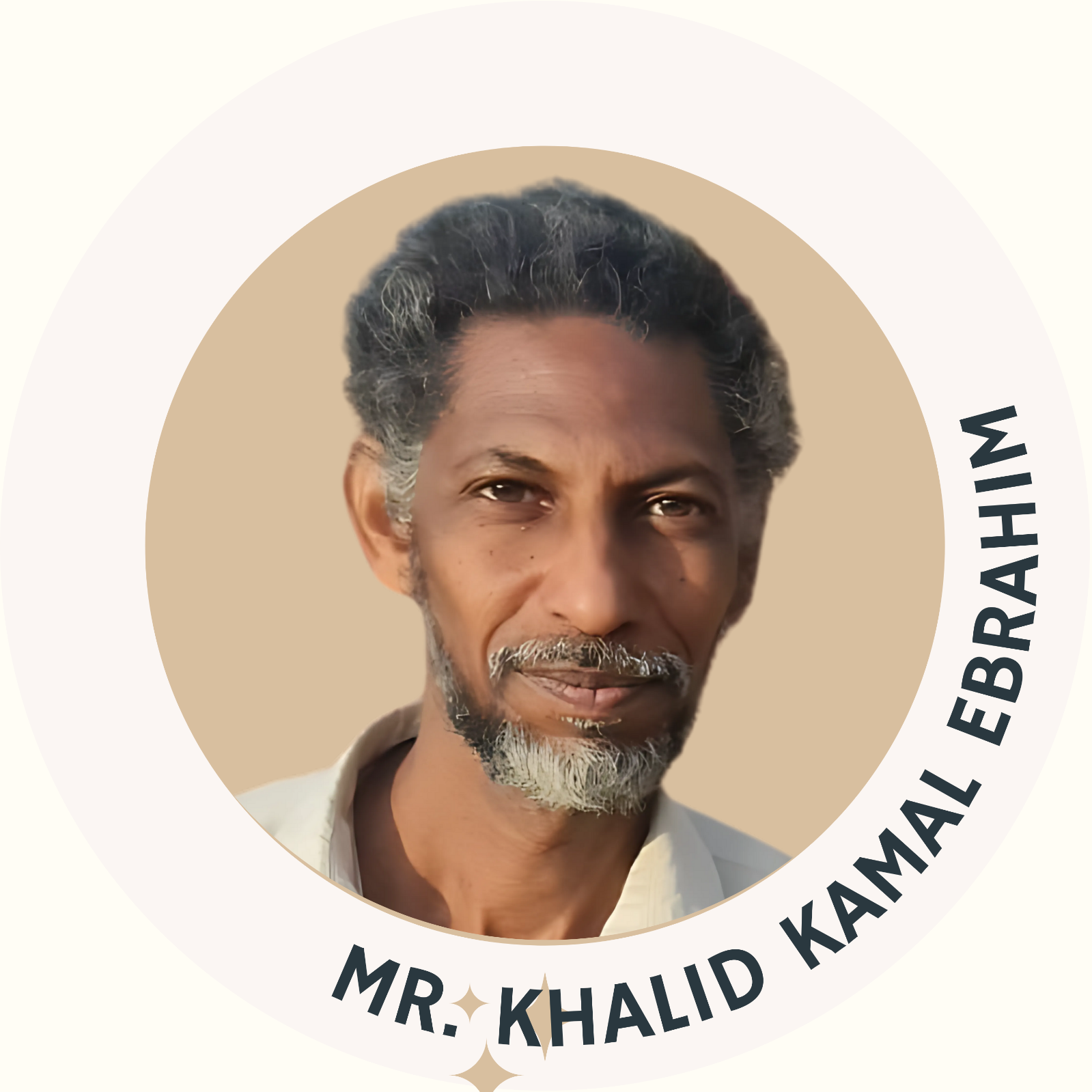 Photorealistic image of successful graduates from diverse backgrounds celebrating their achievements. The images should reflect the diversity and achievement of graduates in their professional fields.